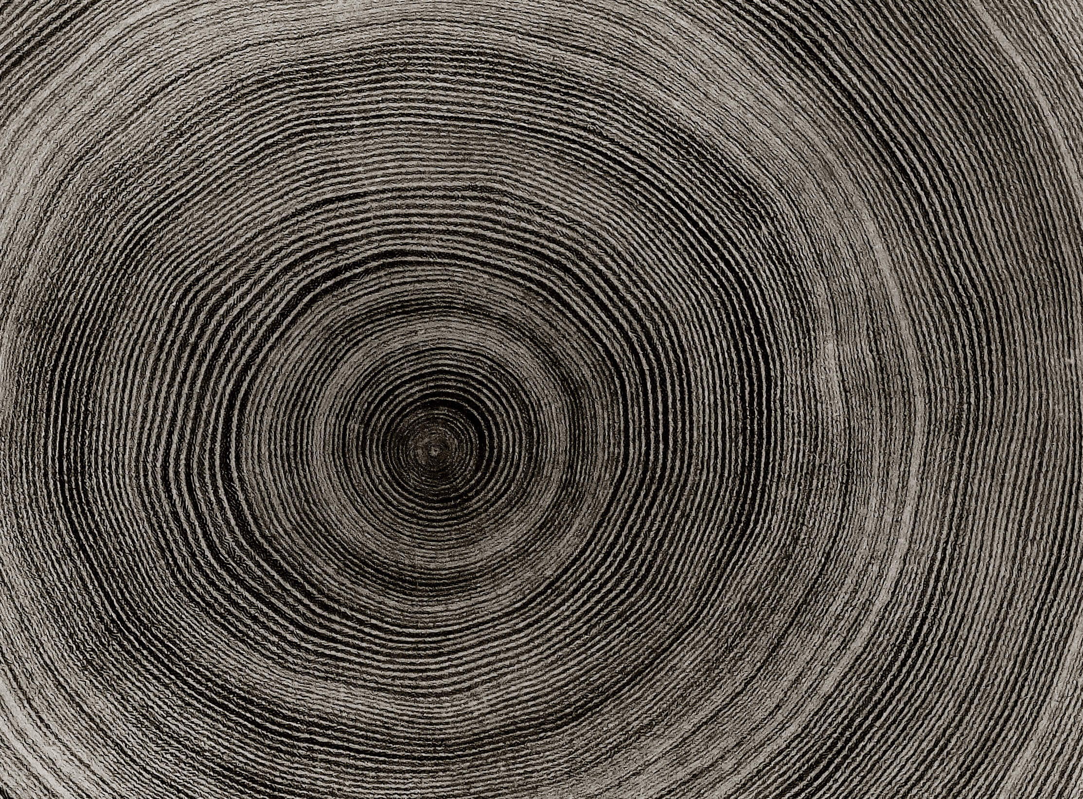Special Wood